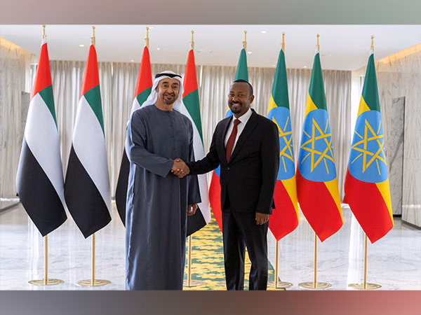 Somaliland : la Somalie rompt avec les Émirats arabes unis après une succession de provocations diplomatiques